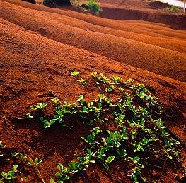 Deep Silver周间疯狂特卖 两款经典RPG史低优惠